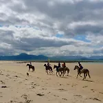 Lighthouse Hill 펜션 멀래니