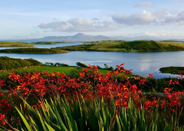 Lighthouse Hill 穆尔兰尼